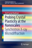 Probing Crystal Plasticity at the Nanoscales (eBook, PDF)