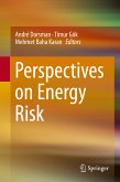 Perspectives on Energy Risk (eBook, PDF)