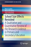 School Size Effects Revisited (eBook, PDF)