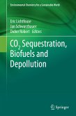 CO2 Sequestration, Biofuels and Depollution (eBook, PDF)