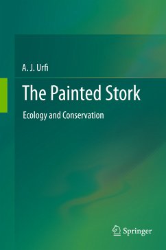 The Painted Stork (eBook, PDF) - Urfi, A. J.