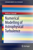 Numerical Modelling of Astrophysical Turbulence (eBook, PDF)