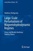 Large-Scale Perturbations of Magnetohydrodynamic Regimes (eBook, PDF)