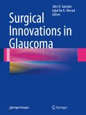 Surgical Innovations in Glaucoma (eBook, PDF)