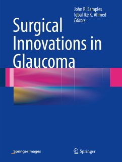 Surgical Innovations in Glaucoma (eBook, PDF)