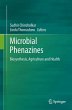 Microbial Phenazines (eBook, PDF) - Bild 1