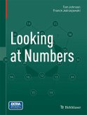 Looking at Numbers (eBook, PDF)