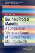 Business Process Maturity (eBook, PDF) - Bild 1