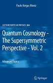 Quantum Cosmology - The Supersymmetric Perspective - Vol. 2 (eBook, PDF)