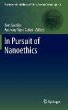 In Pursuit of Nanoethics (eBook, PDF) - Bild 1