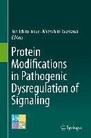 Protein Modifications in Pathogenic Dysregulation of Signaling (eBook, PDF)