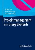 Projektmanagement im Energiebereich (eBook, PDF)