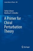 A Primer for Chiral Perturbation Theory (eBook, PDF)