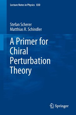A Primer for Chiral Perturbation Theory (eBook, PDF) - Scherer, Stefan; Schindler, Matthias R.