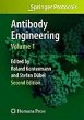 Antibody Engineering Volume 1 (eBook,... - Bild 1