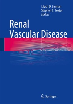 Renal Vascular Disease (eBook, PDF)
