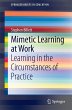Mimetic Learning at Work (eBook, PDF) - Bild 1