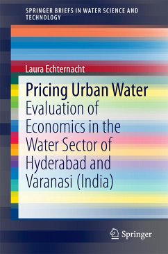 Pricing Urban Water (eBook, PDF) - Echternacht, Laura