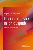 Electrochemistry in Ionic Liquids (eBook, PDF)