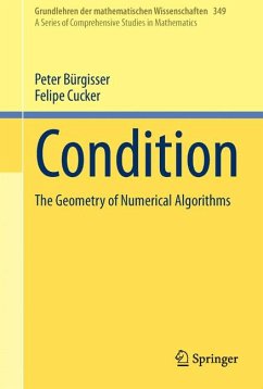 Condition (eBook, PDF) - Bürgisser, Peter; Cucker, Felipe