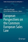 European Perspectives on the Common European Sales Law (eBook, PDF)