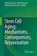 Stem Cell Aging: Mechanisms,... - Bild 1