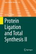 Protein Ligation and Total Synthesis II... - Bild 1