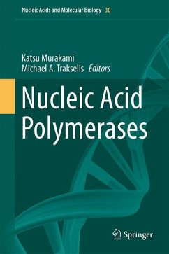 Nucleic Acid Polymerases (eBook, PDF)