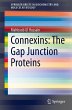 Connexins: The Gap Junction Proteins... - Bild 1