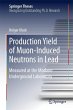 Production Yield of Muon-Induced... - Bild 1