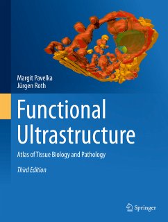 Functional Ultrastructure (eBook, PDF) - Pavelka, Margit; Roth, Jürgen