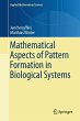 Mathematical Aspects of Pattern... - Bild 1