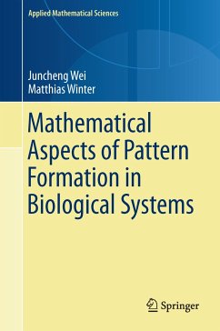 Mathematical Aspects of Pattern Formation in Biological Systems (eBook, PDF) - Wei, Juncheng; Winter, Matthias