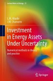 Investment in Energy Assets Under Uncertainty (eBook, PDF)