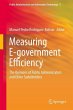 Measuring E-government Efficiency... - Bild 1