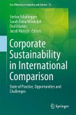 Corporate Sustainability in International Comparison (eBook, PDF)