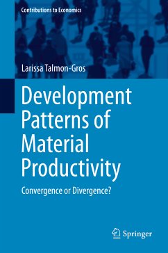 Development Patterns of Material Productivity (eBook, PDF) - Talmon-Gros, Larissa