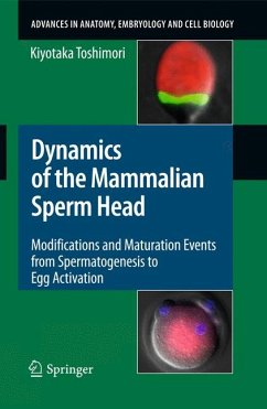 Dynamics of the Mammalian Sperm Head (eBook, PDF) - Toshimori, Kiyotaka