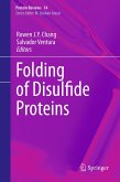 Folding of Disulfide Proteins (eBook, PDF)