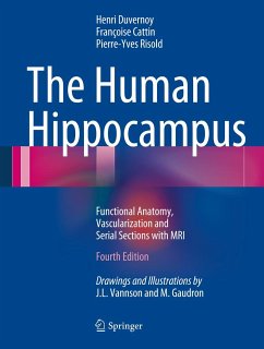 The Human Hippocampus (eBook, PDF) - Duvernoy, Henri M.; Cattin, Francoise; Risold, Pierre-Yves