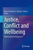 Justice, Conflict and Wellbeing (eBook, PDF)