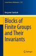 Blocks of Finite Groups and Their... - Bild 1