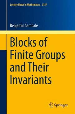 Blocks of Finite Groups and Their Invariants (eBook, PDF) - Sambale, Benjamin