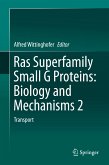 Ras Superfamily Small G Proteins: Biology and Mechanisms 2 (eBook, PDF)