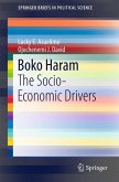 Boko Haram (eBook, PDF)