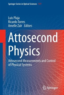 Attosecond Physics (eBook, PDF)
