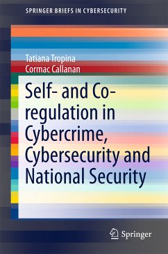 Self- and Co-regulation in Cybercrime, Cybersecurity and National Security (eBook, PDF) - Tropina, Tatiana; Callanan, Cormac