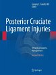 Posterior Cruciate Ligament Injuries... - Bild 1