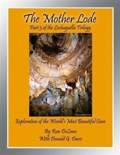 Mother Lode (eBook, ePUB) - Delano, Ron