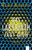 Das Labyrinth jagt dich / Labyrinth Bd.2